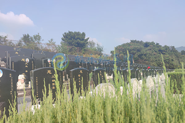 在沈阳墓地下葬前死亡证明获取流程及注意事项 在沈阳墓地下葬前死亡证明获取流程及注意事项