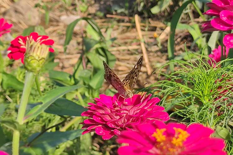 沈阳墓园购买需要注意哪些事项?如何避免踩坑? 沈阳墓园购买需要注意哪些事项?如何避免踩坑?