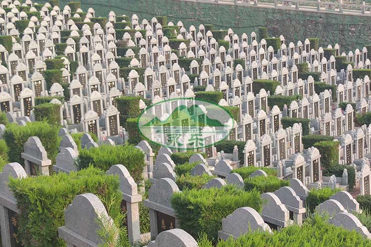 沈阳墓地价格怎么选才合理?如何兼顾性价比与家庭承受能力? 沈阳墓地价格怎么选才合理?如何兼顾性价比与家庭承受能力?