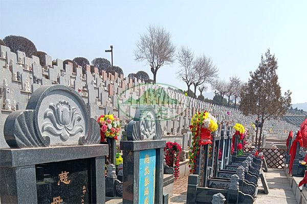 沈阳陵园树葬补贴申请与墓园人流情况分析 沈阳陵园树葬补贴申请与墓园人流情况分析