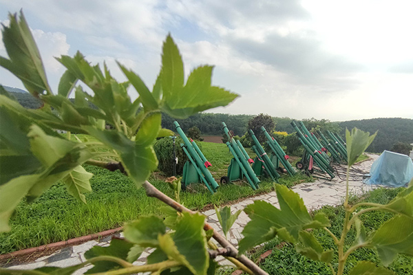 永乐青山墓园简介沉静逸美，心灵与自然的相遇之地！